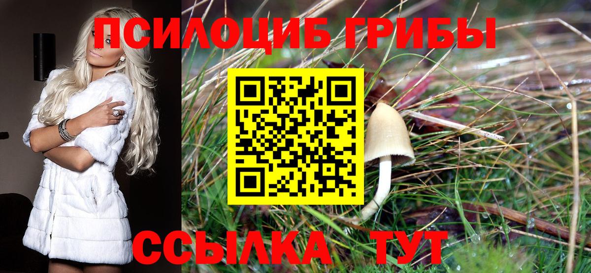 Тула  Галлюциногенные грибы GOLDEN TEACHER  как найти закладки  Галлюциногенные грибы Cubensis  Вход с VPN 
