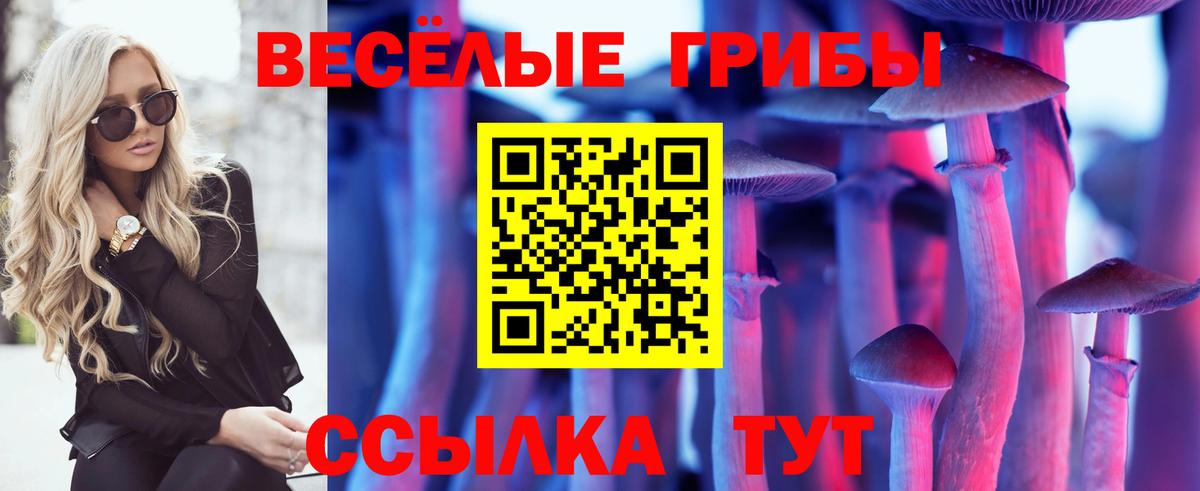 Галлюциногенные грибы прущие грибы Тула